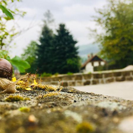 Penzion Sloup Sloup  Esterno foto